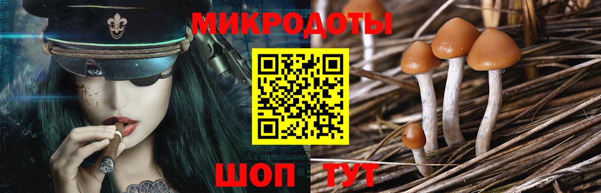 Галлюциногенные грибы мухоморы  Вход с VPN  Уварово 